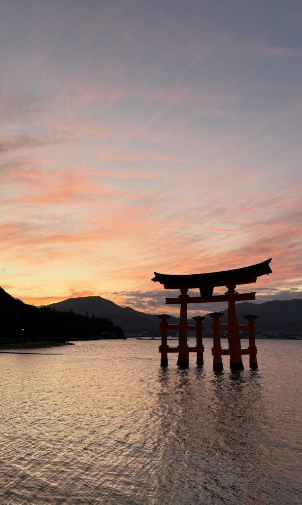 Where is the best city in Japan to see cherry blossoms?